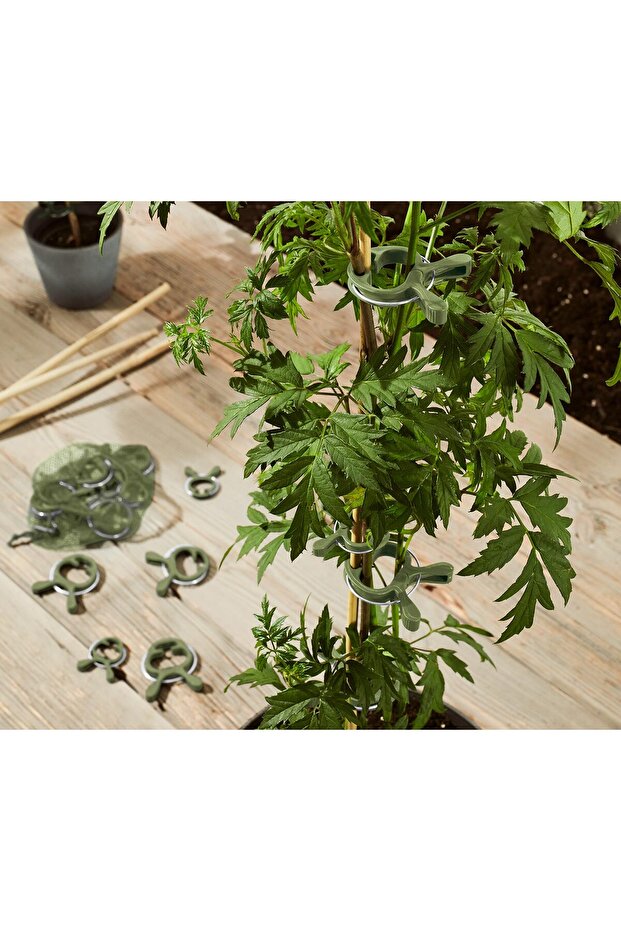 20 Adet Bitki Mandalı - 1