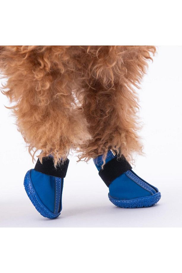 Mavi Köpek Ayakkabısı-Köpek Patiği - 5