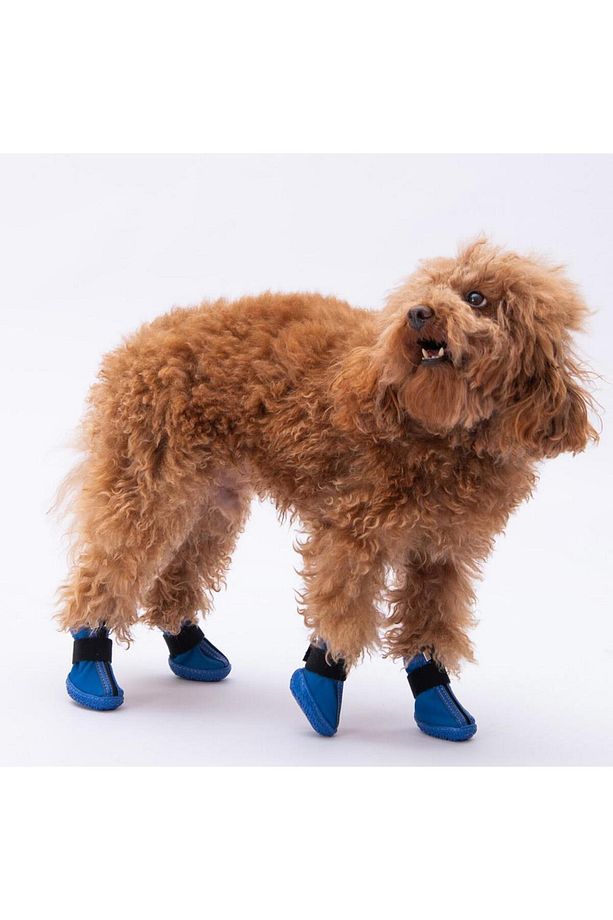 Mavi Köpek Ayakkabısı-Köpek Patiği - 4