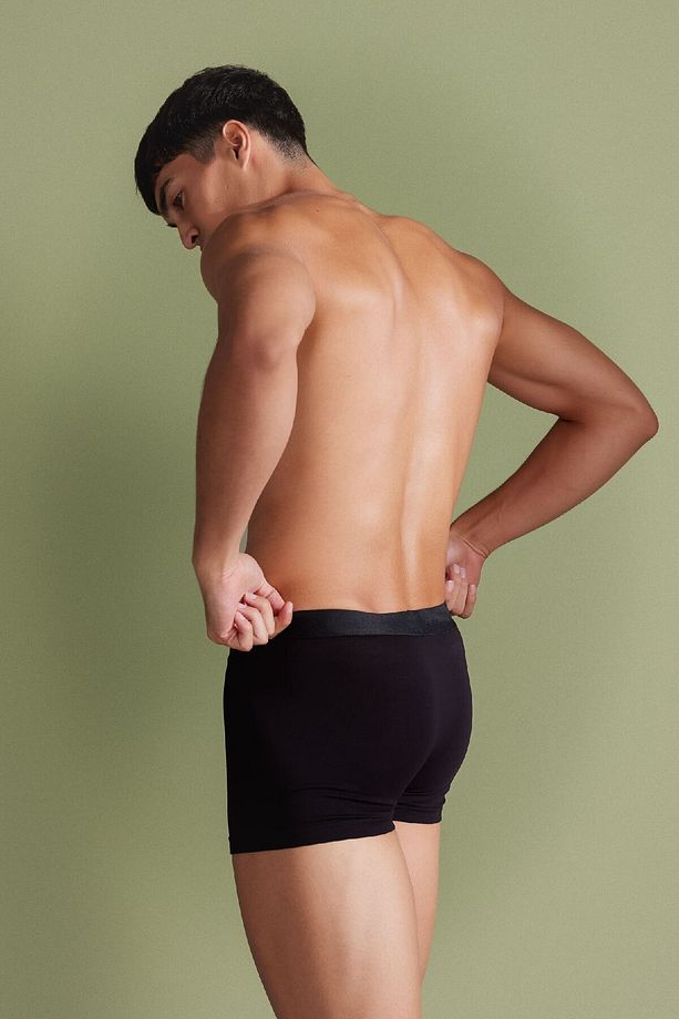 Regular Fit 3'lü Boxer N4277az24sm - 4