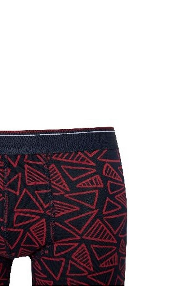 Regular Fit Baskılı 3'lü Boxer C3270ax24cw - 4