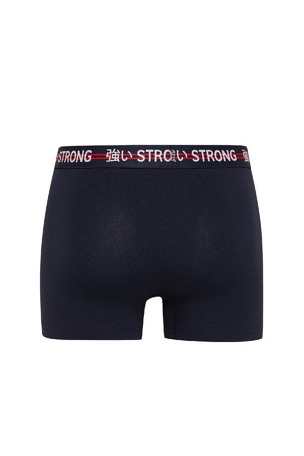 Regular Fit Basic Düz 3lü Boxer C3280ax24wn - 3