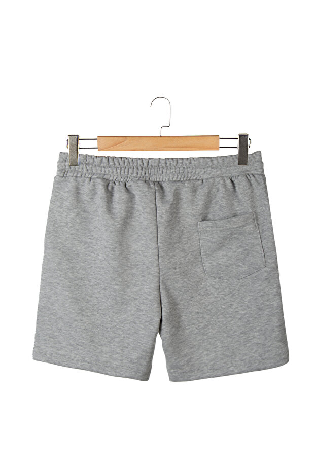 2 Pack Men's Gray - Plum Basic Regular Fit Shorts & Bermuda - 4