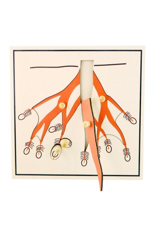 لغز جذر الشجرة - 2