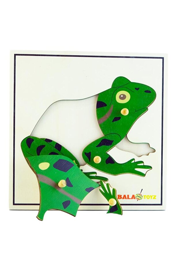 لغز الضفدع - 2