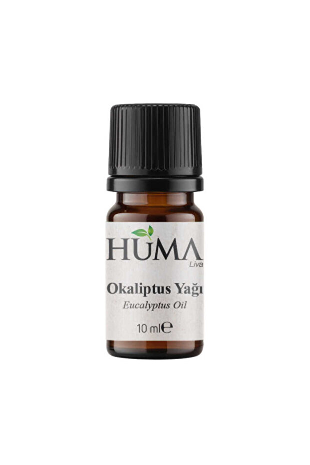 Eucalyptus Oil 10 ml