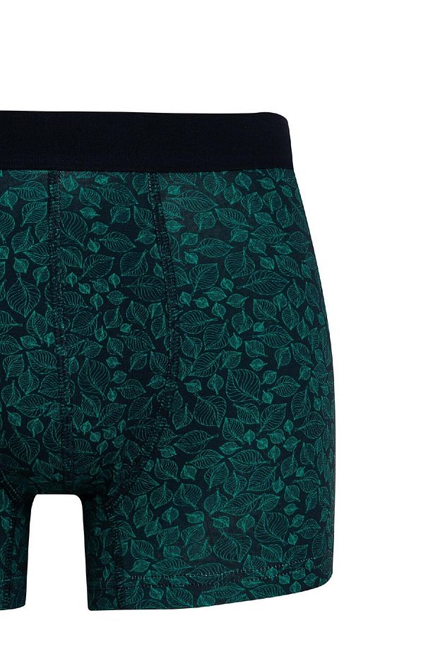 Regular Fit 3'lü Boxer B8515ax24au - 6