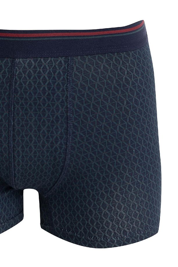 Regular Fit Kareli 3'lü Boxer C9561ax24wn - 7