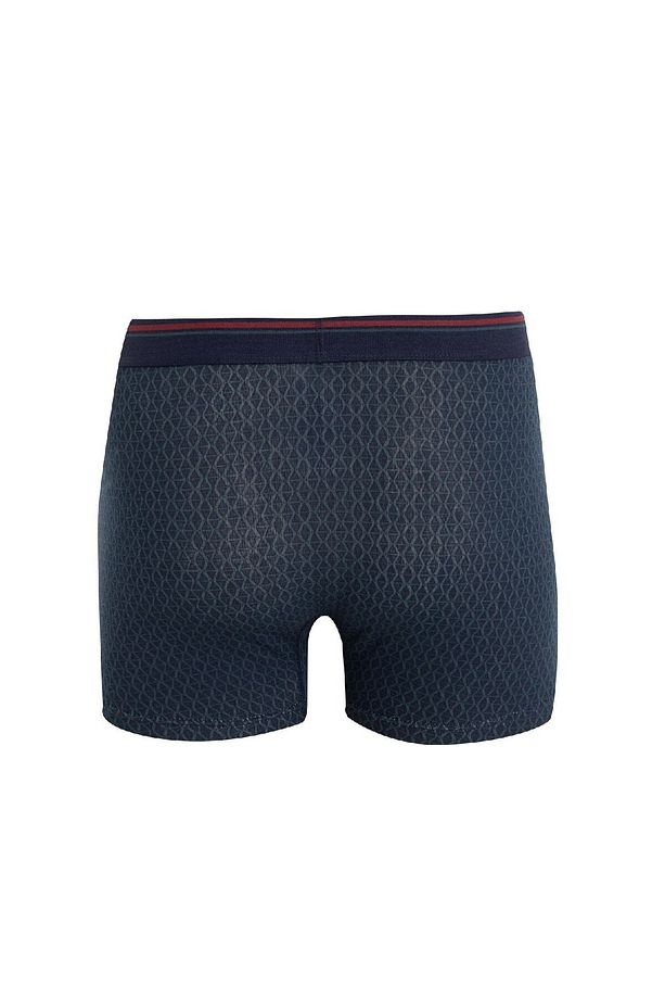 Regular Fit Kareli 3'lü Boxer C9561ax24wn - 3