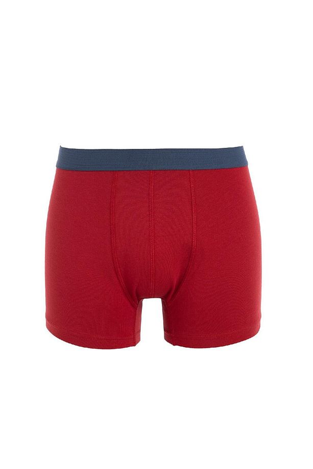 Regular Fit 3'lü Boxer C9560ax24wn - 2