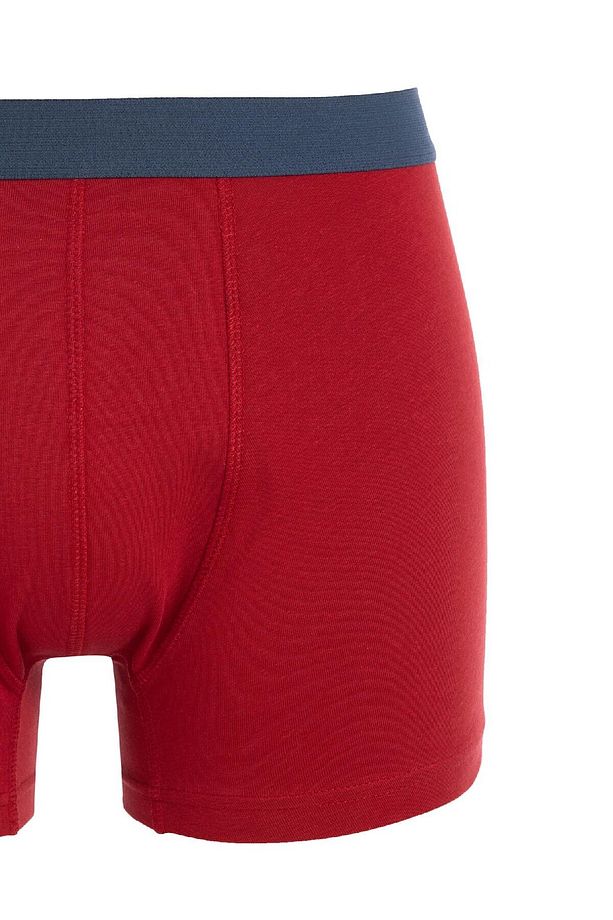 Regular Fit 3'lü Boxer C9560ax24wn - 8