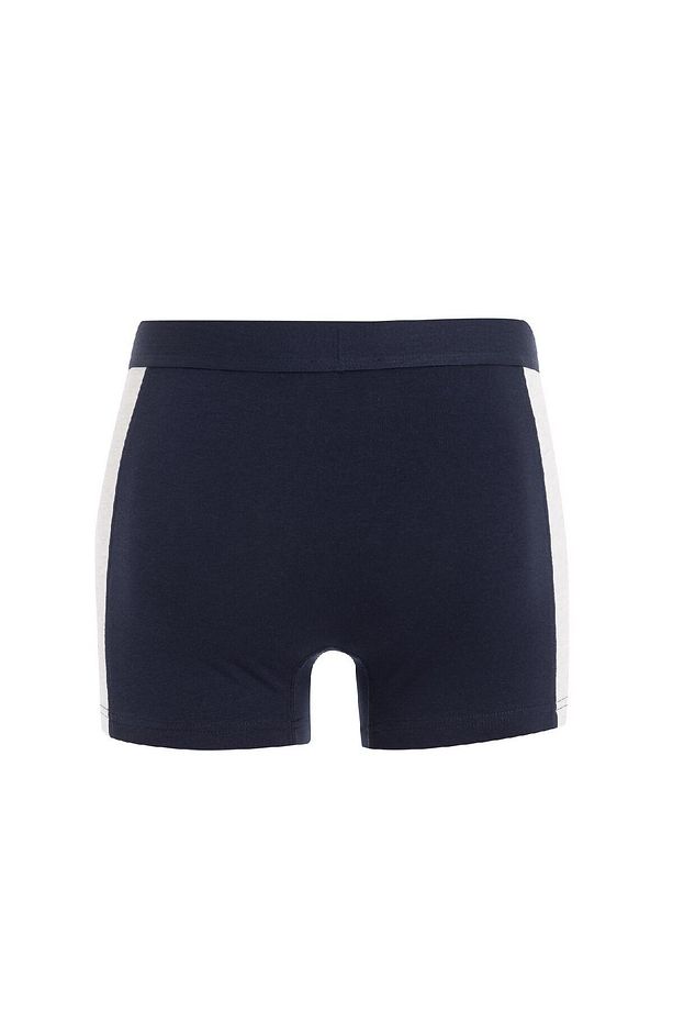 Regular Fit 3'lü Boxer C9559ax24wn - 3