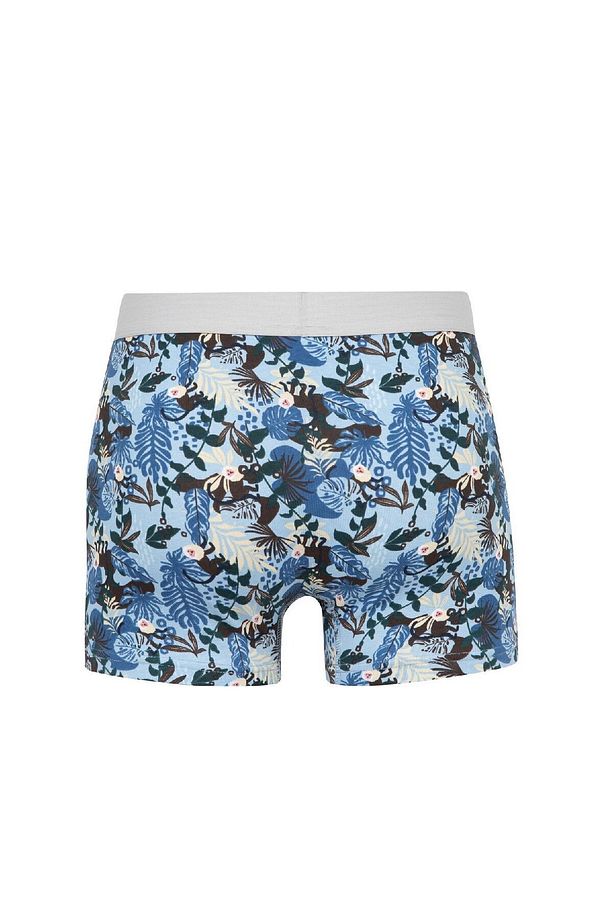 Regular Fit Hayvan Baskılı 3'lü Boxer C9537ax24wn - 3