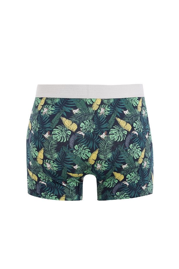 Regular Fit Baskılı 3'lü Boxer C9568ax24au - 3