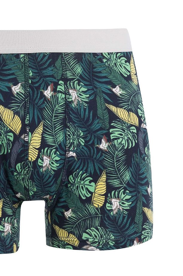 Regular Fit Baskılı 3'lü Boxer C9568ax24au - 4