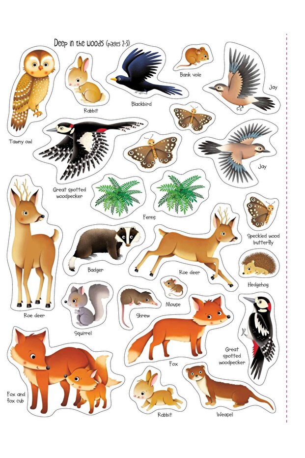 First Sticker Book Nature - 4