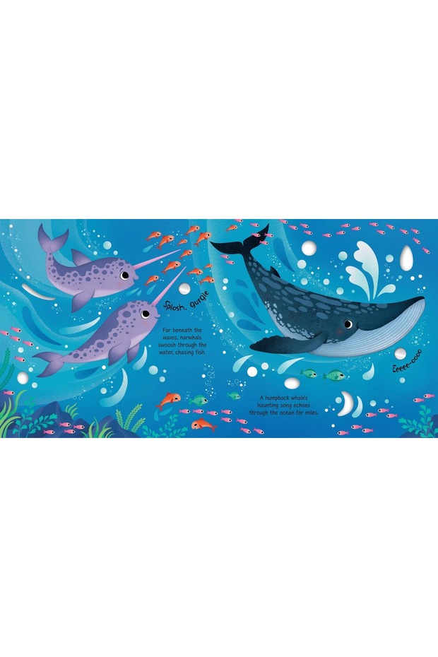 ARCTIC ANIMALS SOUND BOOK - 4