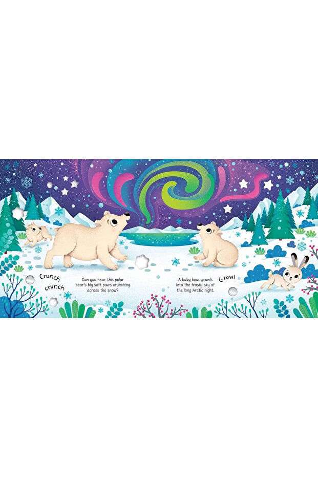 ARCTIC ANIMALS SOUND BOOK - 2