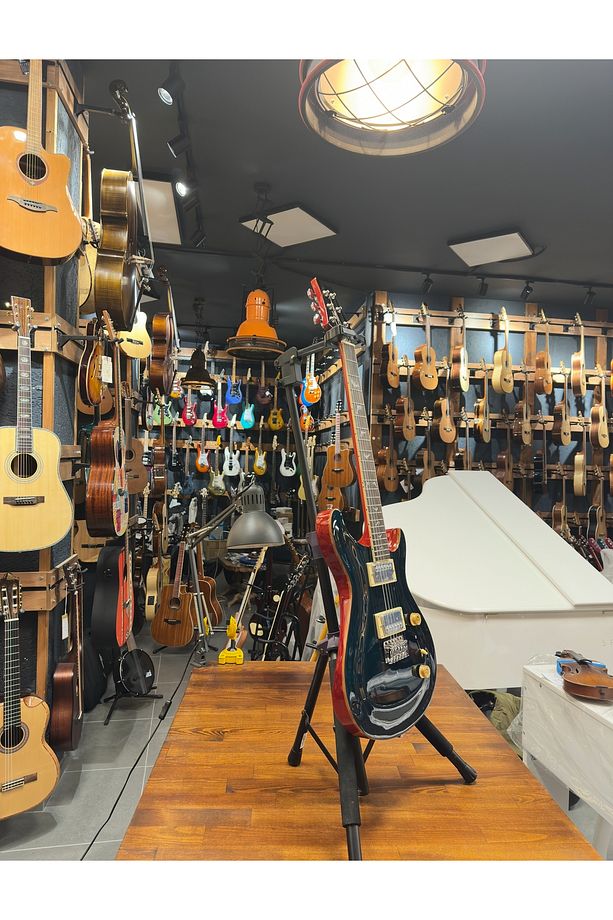 PRS- Pr1 Elektro Gitar - 5