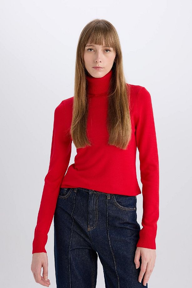 Regular Fit Yumuşak Dokulu Balıkçı Yaka Basic Düz Triko Kazak H1651az24wn - 4