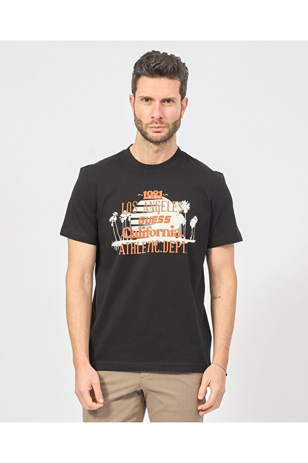 TRIUC CATMINT CN - 2