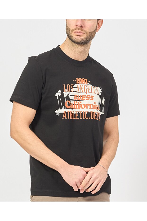 TRIUC CATMINT CN - 4