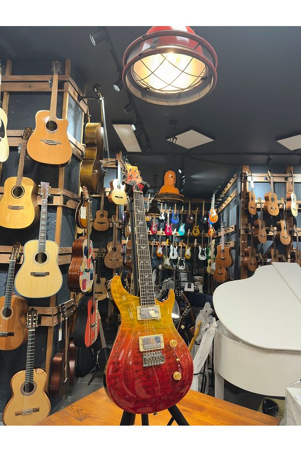 PRS- PR210 Elektro Gitar - 3