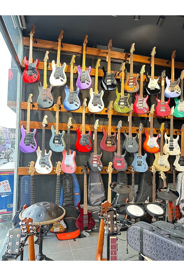 PRS- PR210 Elektro Gitar - 9
