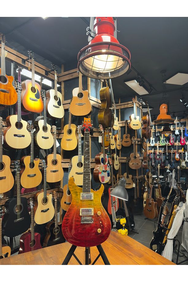 PRS- PR210 Elektro Gitar - 5