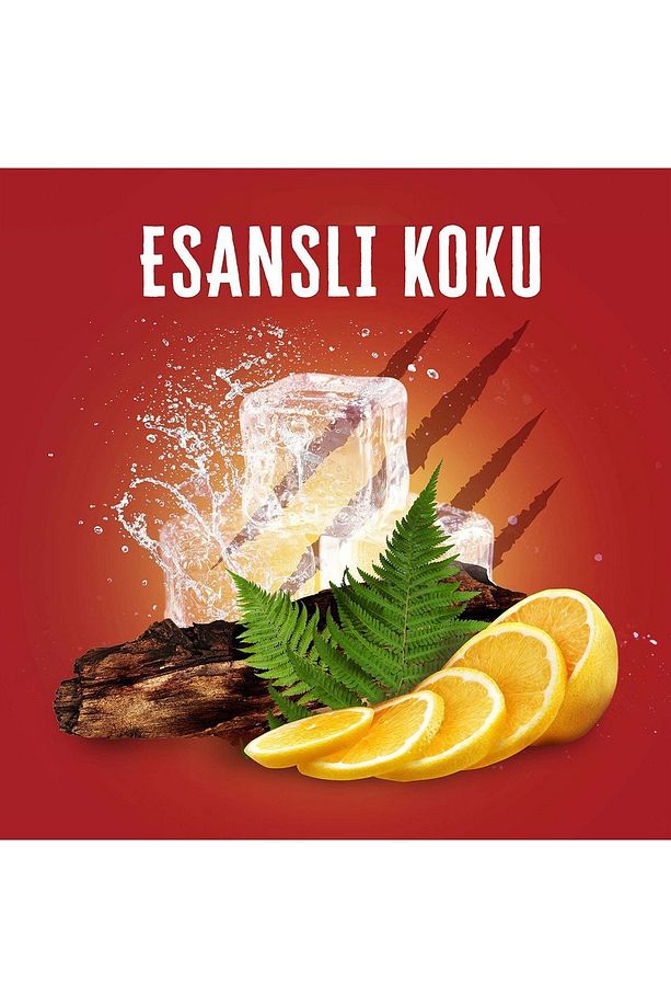 Duş Jeli & Şampuan 400 ml Bearglove- - 7