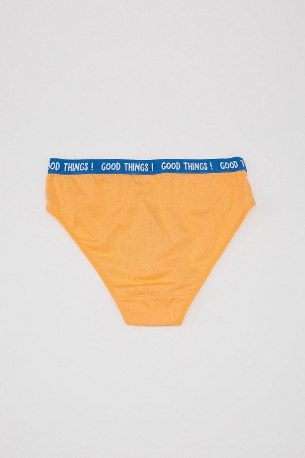 Kız Çocuk 3'lü Slip Külot B8843a824sp - 3
