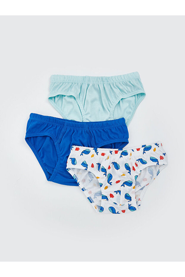 Lcw Kids Elastic Waist Printed Boys' Panties 3-Piece