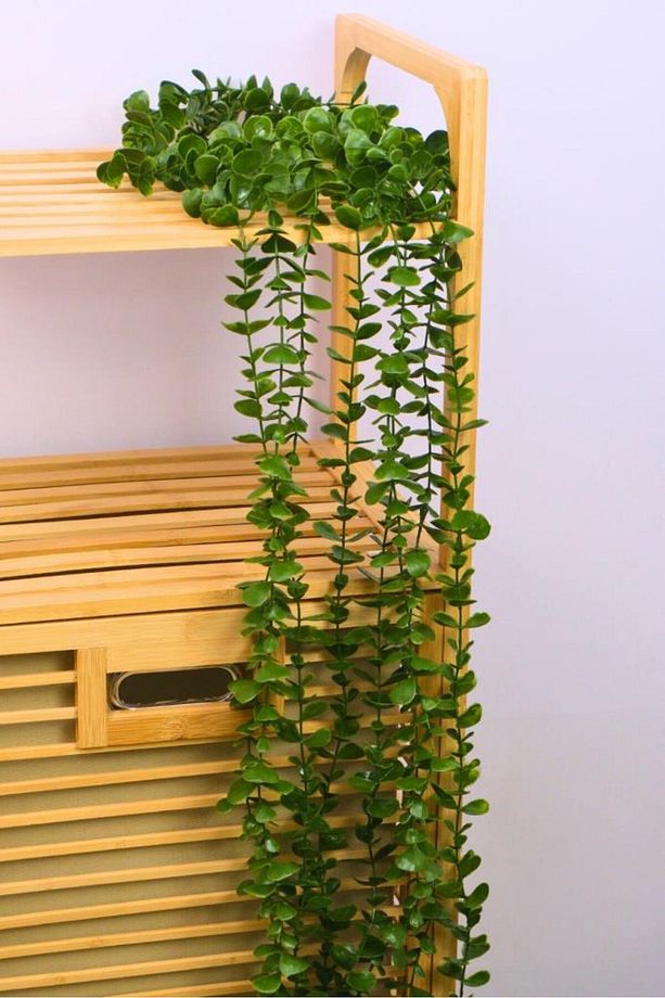Dekoratif 4 Adet Tekli Yapay Uzun Sarkıt Bitki Sarmaşık 210cm Yeşil EVA-5845 C1-1-423 - 2