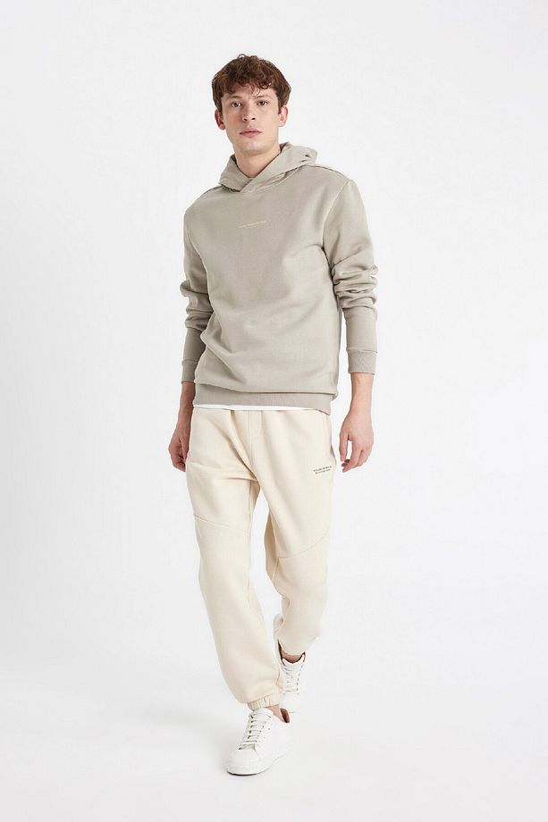 Regular Fit Kapüşonlu Baskılı Sweatshirt C6131ax24au - 2