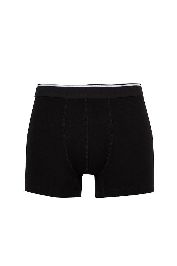 Regular Fit 3'lü Boxer C1534ax24au - 5
