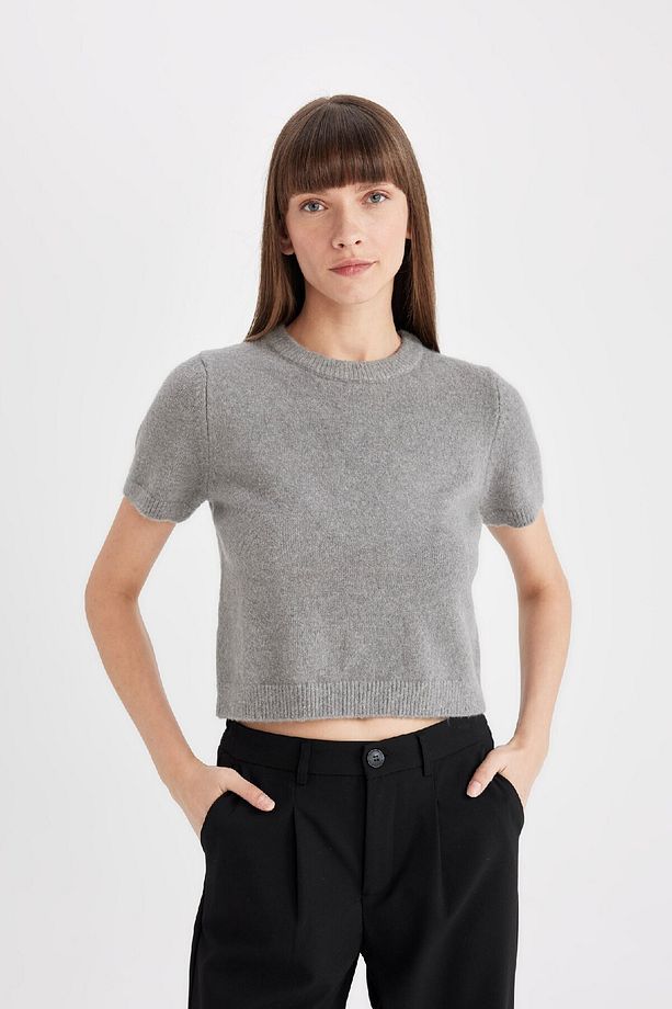 Regular Fit Bisiklet Yaka Premium Basic Düz Kısa Kollu Triko Kazak C9049ax24wn - 3