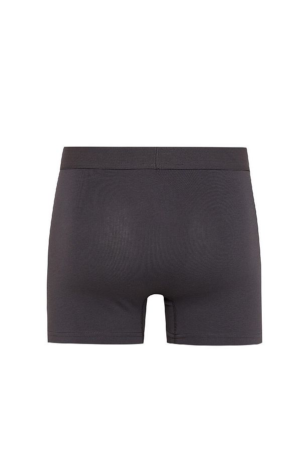 Regular Fit 3'lü Boxer C9575ax24au - 3