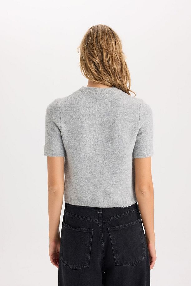 Regular Fit Bisiklet Yaka Basic Düz Düğmeli Kısa Kollu Triko Hırka D3526ax24wn - 6
