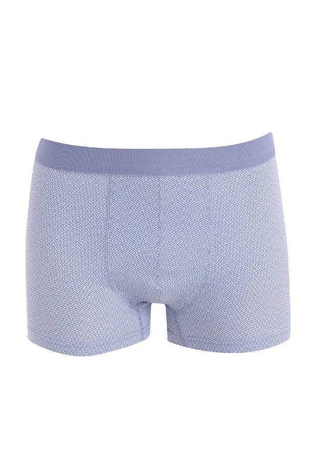 Regular Fit 3lü Boxer D2316ax24au - 2