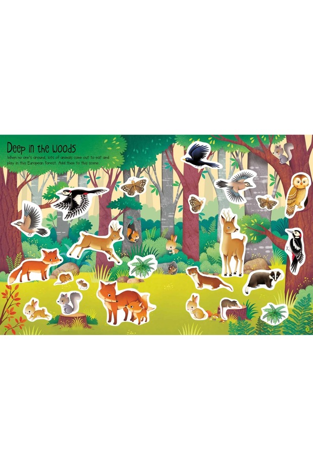 First Sticker Book Nature - 3