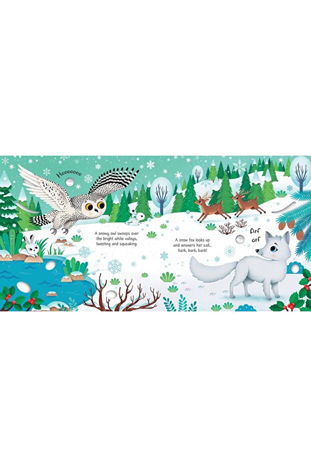 ARCTIC ANIMALS SOUND BOOK - 3