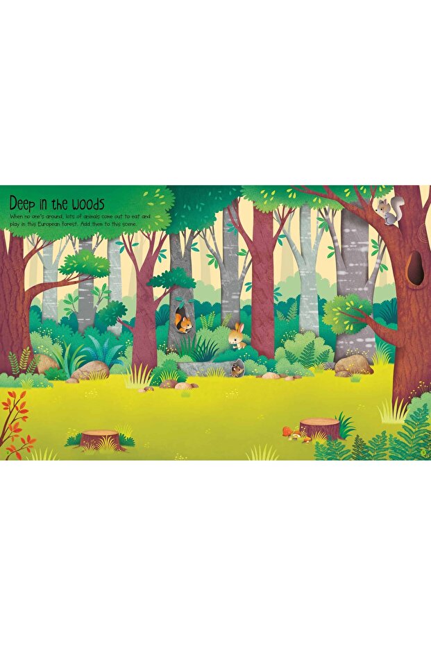 First Sticker Book Nature - 2
