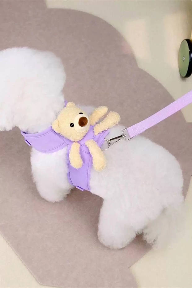 Lilac Color Teddy Bear Figured L Size Chest Cat/Dog Collar