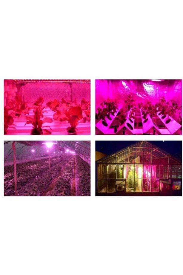 F6040 Tam Spektrum Bitki Yetiştirme Cob Led 220V 1 Adet - 3