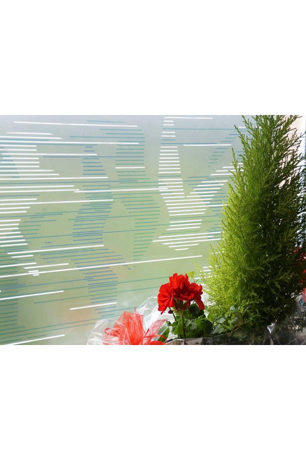 334-0037 Kuş Desenli Statik Cam Folyo (45CM X 1MT) - 3