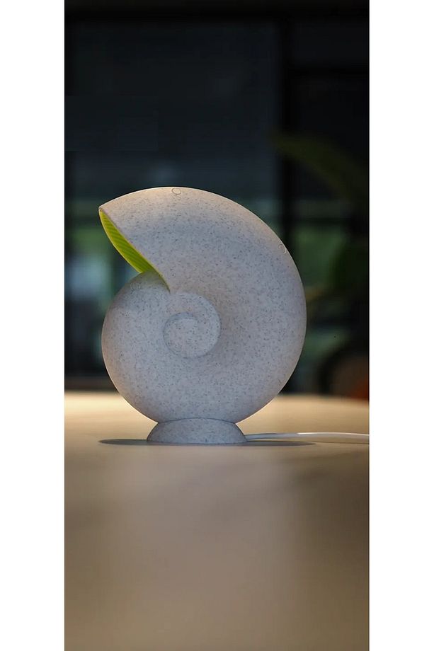 Deniz Kabuğu Lambası Shell - 2