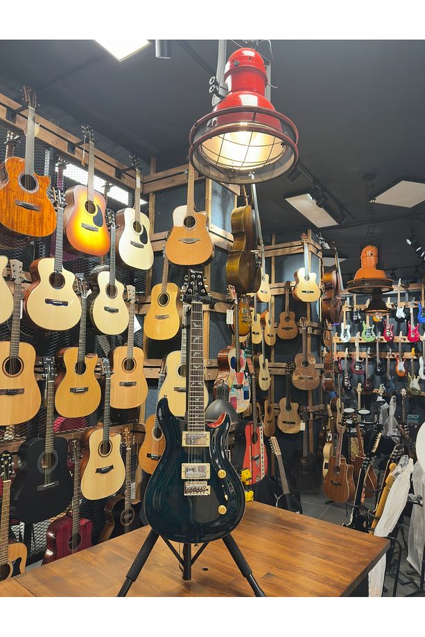 PRS- Pr1 Elektro Gitar - 4