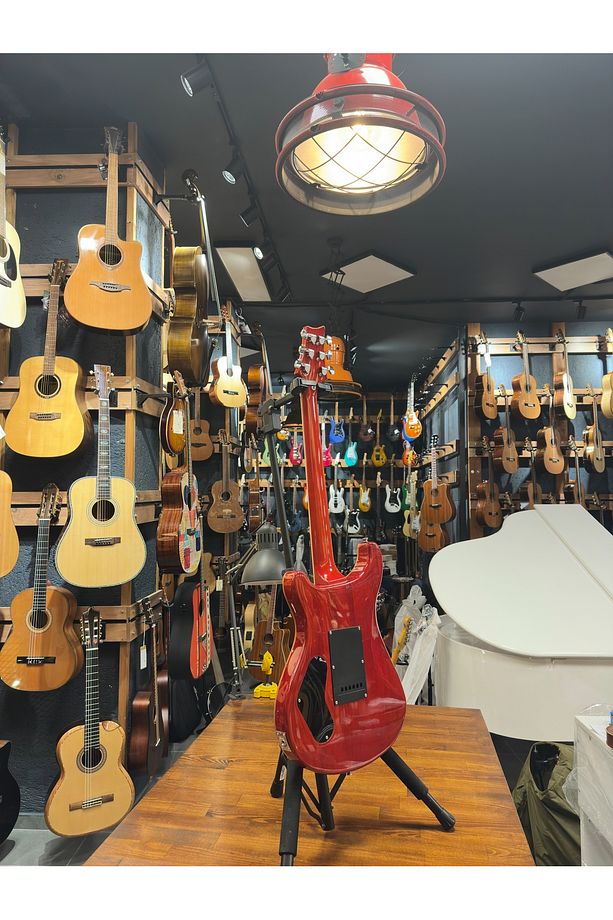 PRS- Pr1 Elektro Gitar - 6