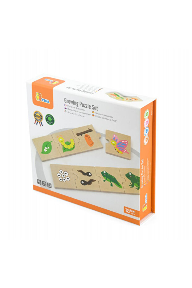 Puzzle sortator - Evolutie, Viga - 2