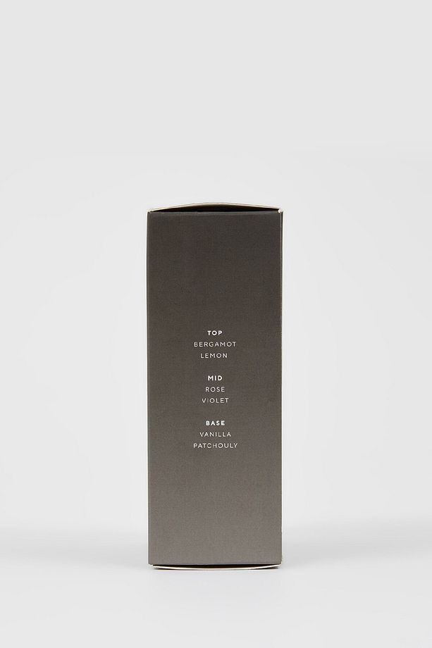 Iron Grey Erkek 100 ml Parfüm R4167azns - 2